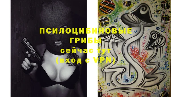 apvp Алексеевка