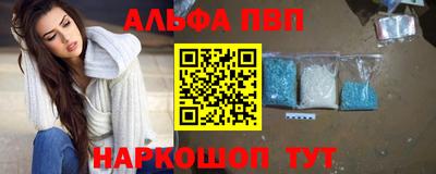 тгк Бийск