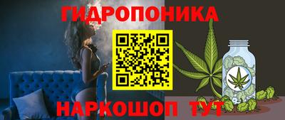 тгк Бийск