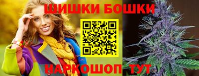 тгк Бийск