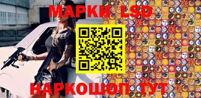 тгк Бийск