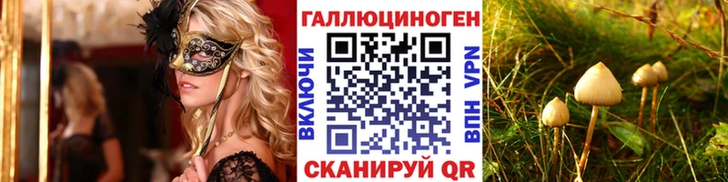 кракен онион  Дедовск  Псилоцибиновые грибы Psilocybe 